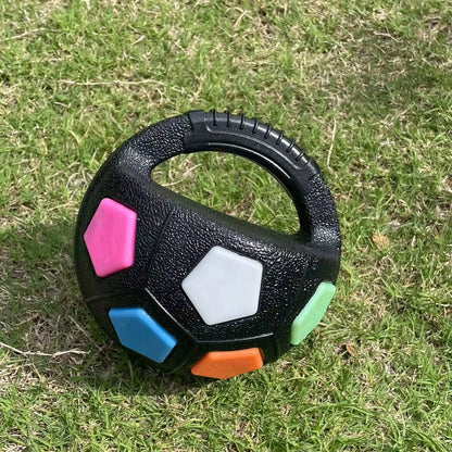 Football Tennis Dog Toy