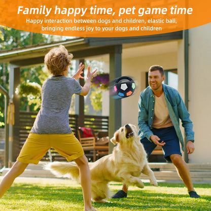 Football Tennis Dog Toy